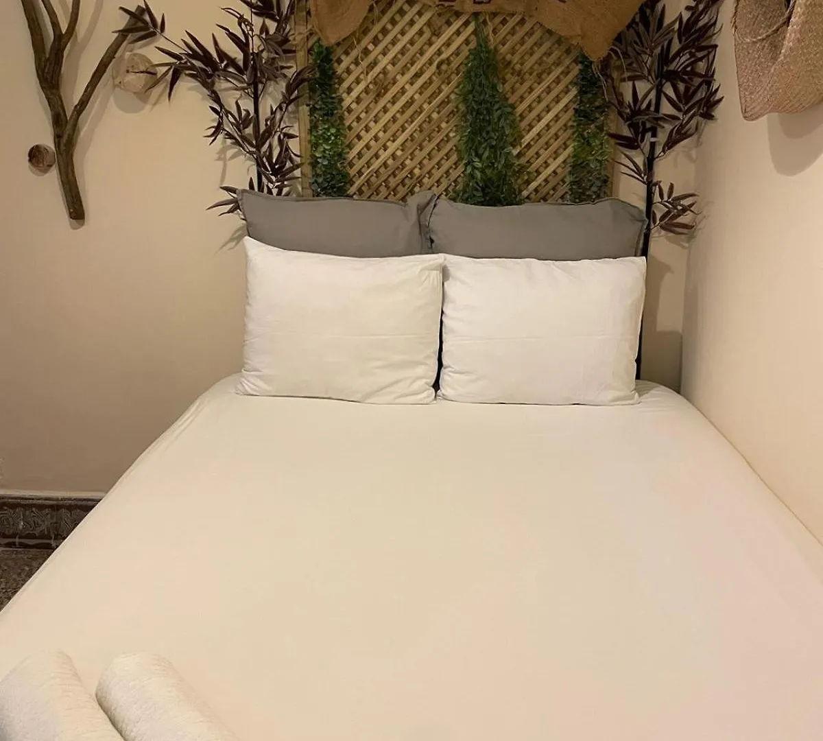 Cactus Host Hostel Las Palmas de Gran Canaria