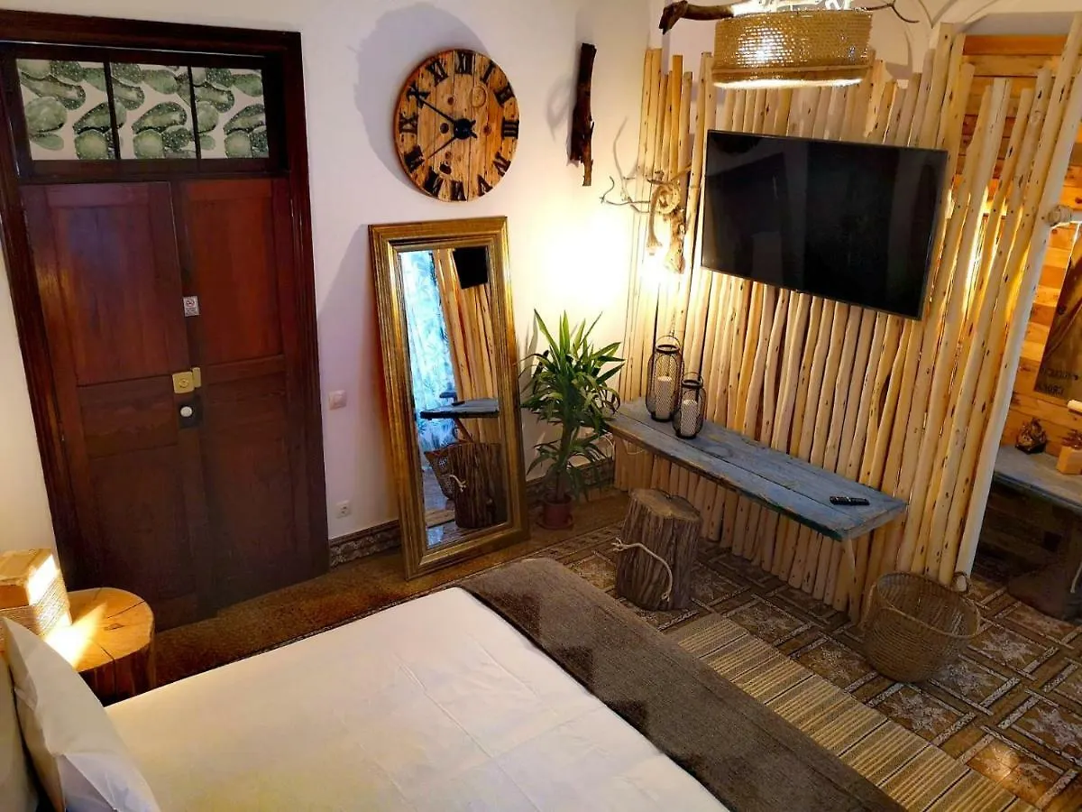 Cactus Host Hostel Las Palmas